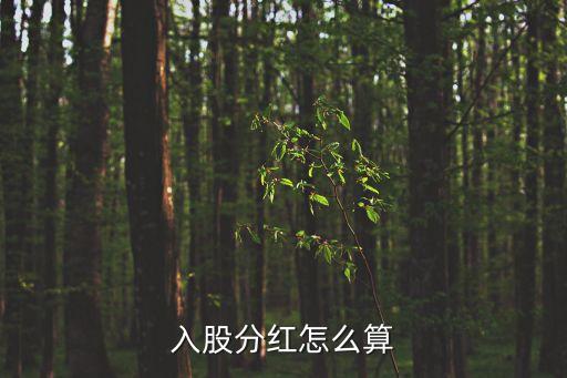 入股分紅怎么算