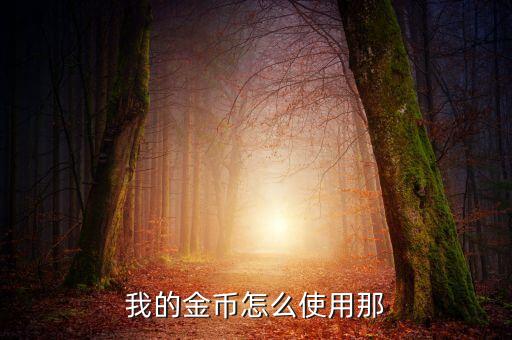 建行的微金幣怎么用，我的金幣怎么使用那