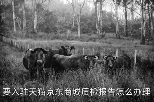 要入駐天貓京東商城質(zhì)檢報(bào)告怎么辦理