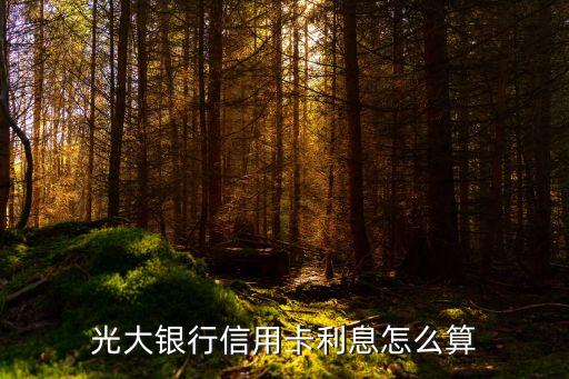 光大行用卡利息怎么算，光大銀行信用卡利息怎么算