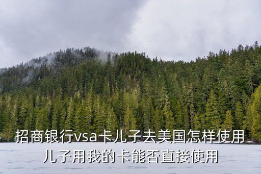招商銀行vsa卡兒子去美國怎樣使用兒子用我的卡能否直接使用