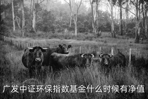 廣發(fā)中證環(huán)保指數(shù)基金什么時(shí)候有凈值