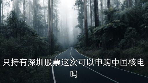 只持有深圳股票這次可以申購中國核電嗎