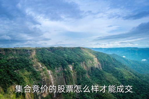 集中競價期間怎么成交，集合競價到底怎么樣才能 成交