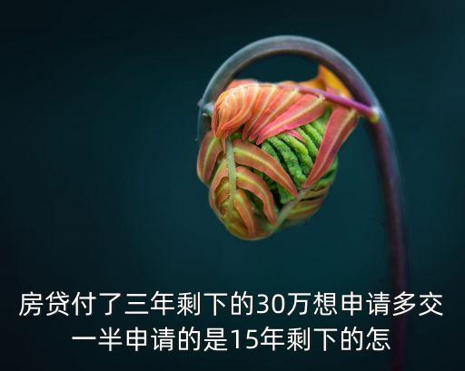 房貸付了三年剩下的30萬想申請多交一半申請的是15年剩下的怎