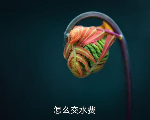 怎么交水費