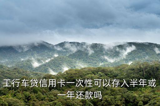 工行車(chē)貸信用卡一次性可以存入半年或一年還款嗎