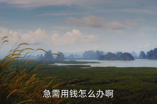 急需用錢怎么辦啊