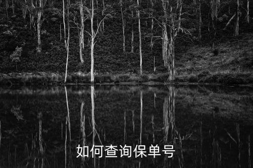 如何查詢保單號(hào)