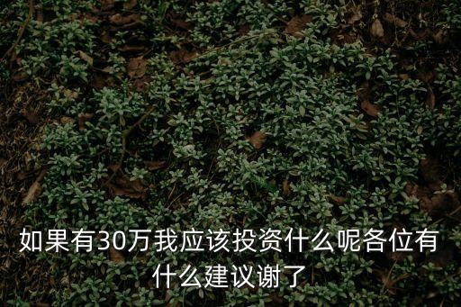 三十萬怎么投資，30萬怎么理財(cái)或投資
