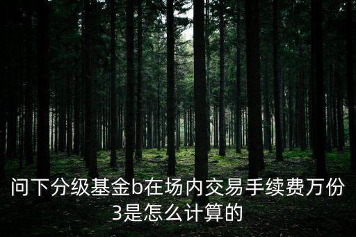 買分級b怎么收費，買入分級基金比如資源B手續(xù)費都有哪些