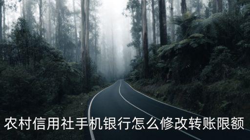 農(nóng)村信用社手機(jī)銀行怎么修改轉(zhuǎn)賬限額