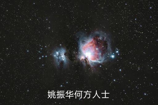 潮汕姚振華怎么樣，姚振華何方人士