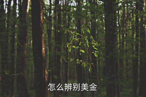 怎么辨別美金