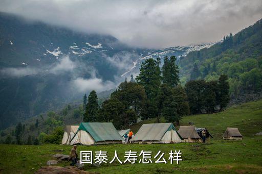 上海國(guó)泰人壽 怎么樣，國(guó)泰人壽怎么樣