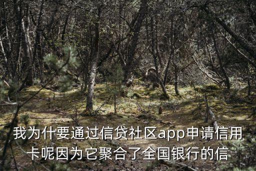 我為什要通過信貸社區(qū)app申請信用卡呢因?yàn)樗酆狭巳珖y行的信