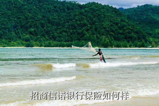 招商信諾銀行保險如何樣