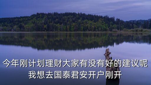 今年剛計(jì)劃理財(cái)大家有沒有好的建議呢我想去國泰君安開戶剛開