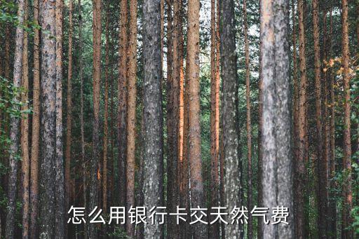 怎么用銀行卡交天然氣費(fèi)