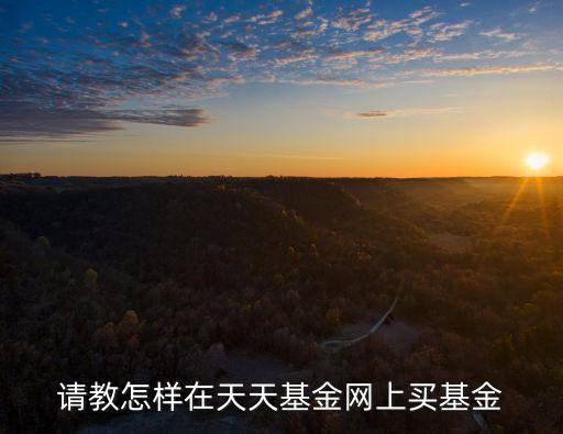 請(qǐng)教怎樣在天天基金網(wǎng)上買(mǎi)基金