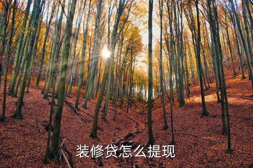 裝修貸怎么提現(xiàn)