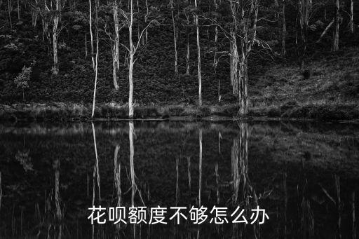 花唄提示額度不夠怎么辦，我想買手機(jī)但是花唄提示余額不足怎么辦