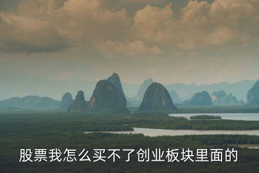 股票我怎么買不了創(chuàng)業(yè)板塊里面的