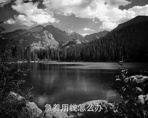 急著用錢怎么辦
