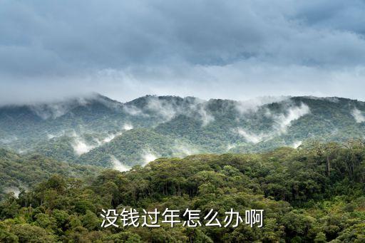 沒錢過年怎么辦啊