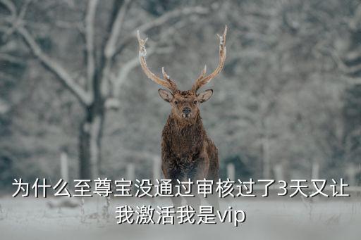 至尊包審核不通過(guò)怎么辦，假如qq至尊保審核不通過(guò)還需要再搶體驗(yàn)資格嗎