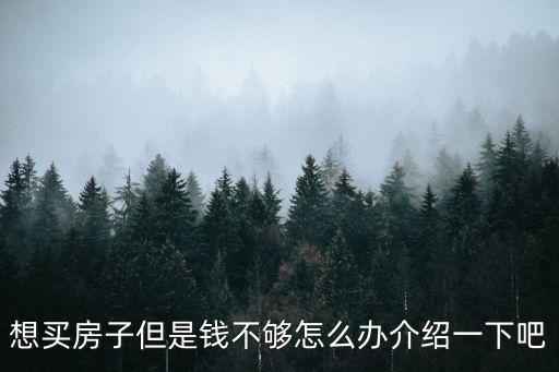 想買(mǎi)房子但是錢(qián)不夠怎么辦介紹一下吧