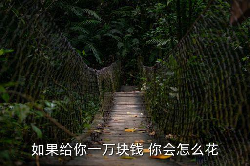 如果給你一萬塊錢 你會怎么花
