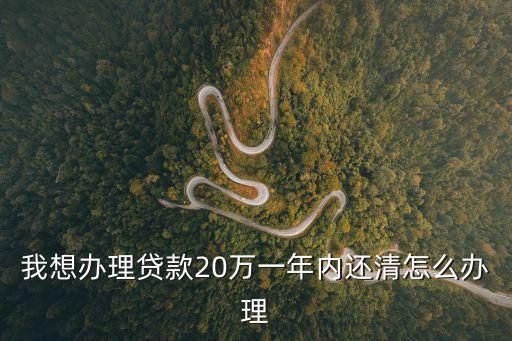 我想辦理貸款20萬一年內(nèi)還清怎么辦理