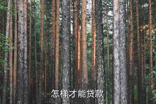 想貸款怎么貸，我想貸款應(yīng)該怎么貸
