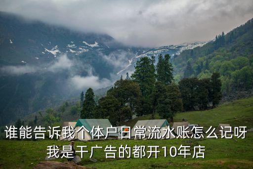 誰能告訴我個體戶日常流水賬怎么記呀我是干廣告的都開10年店
