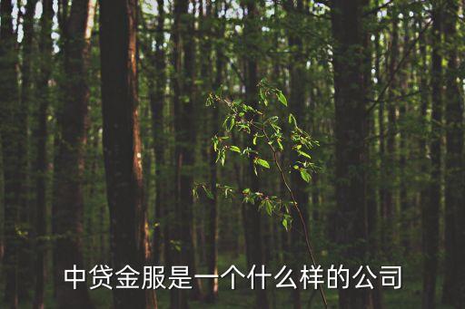 中貸金融服務(wù)信息有限公司怎么樣，什么是中貸金融