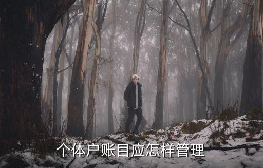 個(gè)體戶賬目應(yīng)怎樣管理