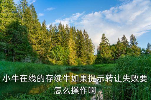 小牛在線怎么債權轉讓，小牛在線的存續(xù)牛如果提示轉讓失敗要怎么操作啊