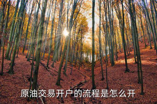 怎么石油開(kāi)戶(hù)，原油交易開(kāi)戶(hù)的流程是怎么開(kāi)