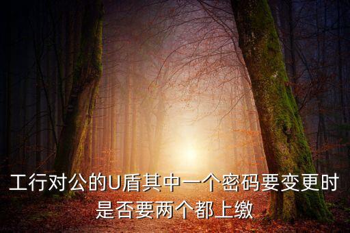 u盾2個(gè)密碼3個(gè)股東怎么處理，U盾有2個(gè)密碼