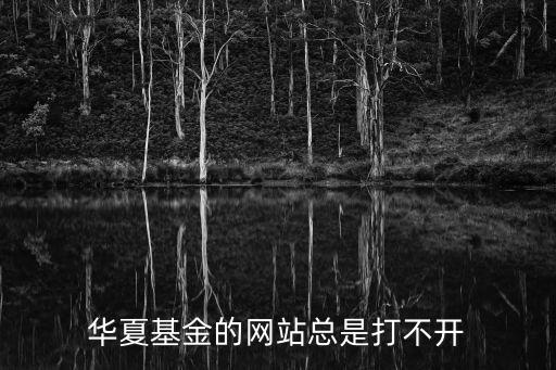華夏基金的網(wǎng)站總是打不開