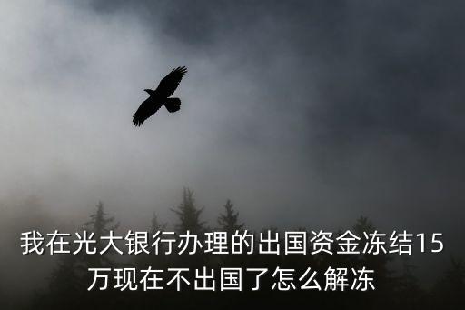 我在光大銀行辦理的出國(guó)資金凍結(jié)15萬(wàn)現(xiàn)在不出國(guó)了怎么解凍