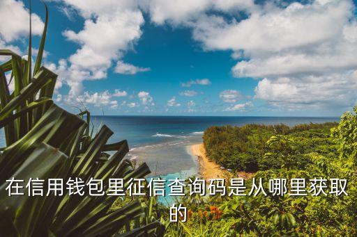 在信用錢(qián)包里征信查詢碼是從哪里獲取的
