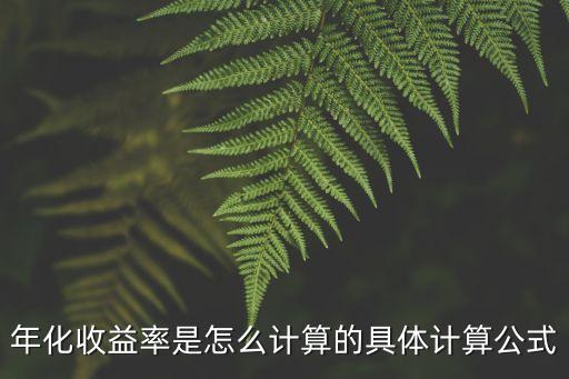年化平均收益率 怎么算，年化收益率如何計算