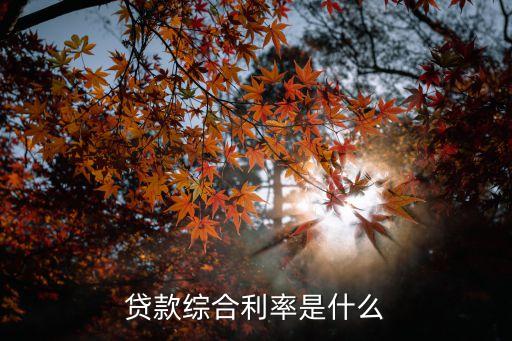 貸款綜合息怎么算，貸款綜合利率是什么