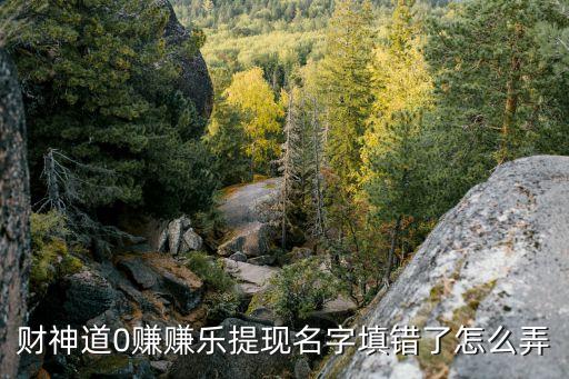 財(cái)神道0賺賺樂提現(xiàn)名字填錯(cuò)了怎么弄