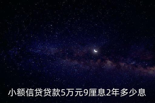 小額信貸貸款5萬元9厘息2年多少息
