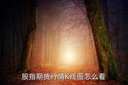 期貨怎么看k線圖，在哪能看期貨的K線圖