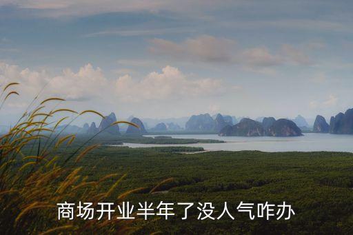 商場(chǎng)開業(yè)半年了沒人氣咋辦