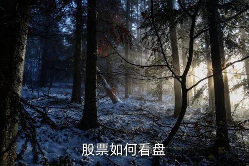 股票大盤怎么看盤，股票如何看盤